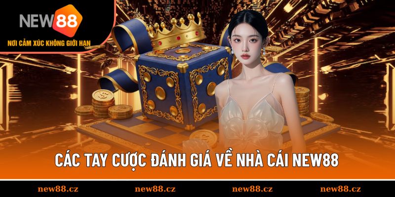 Quá trình để trở thành hội viên nền tảng NEW88