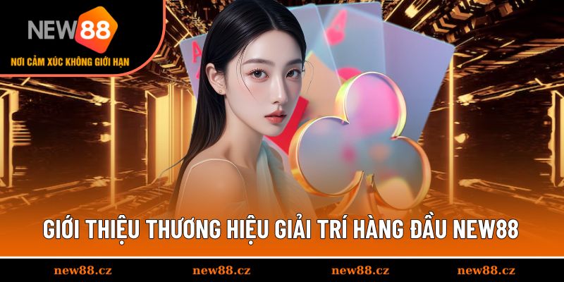 Đôi nét thông tin về thương hiệu cá cược NEW88