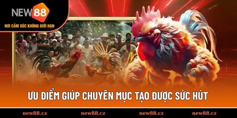 Ưu điểm giúp chuyên mục tạo được sức hút