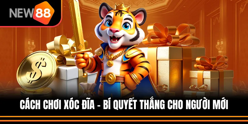 Cách Chơi Xóc Đĩa – Bí Quyết Nâng Tỷ Lệ Thắng Cho Người Mới